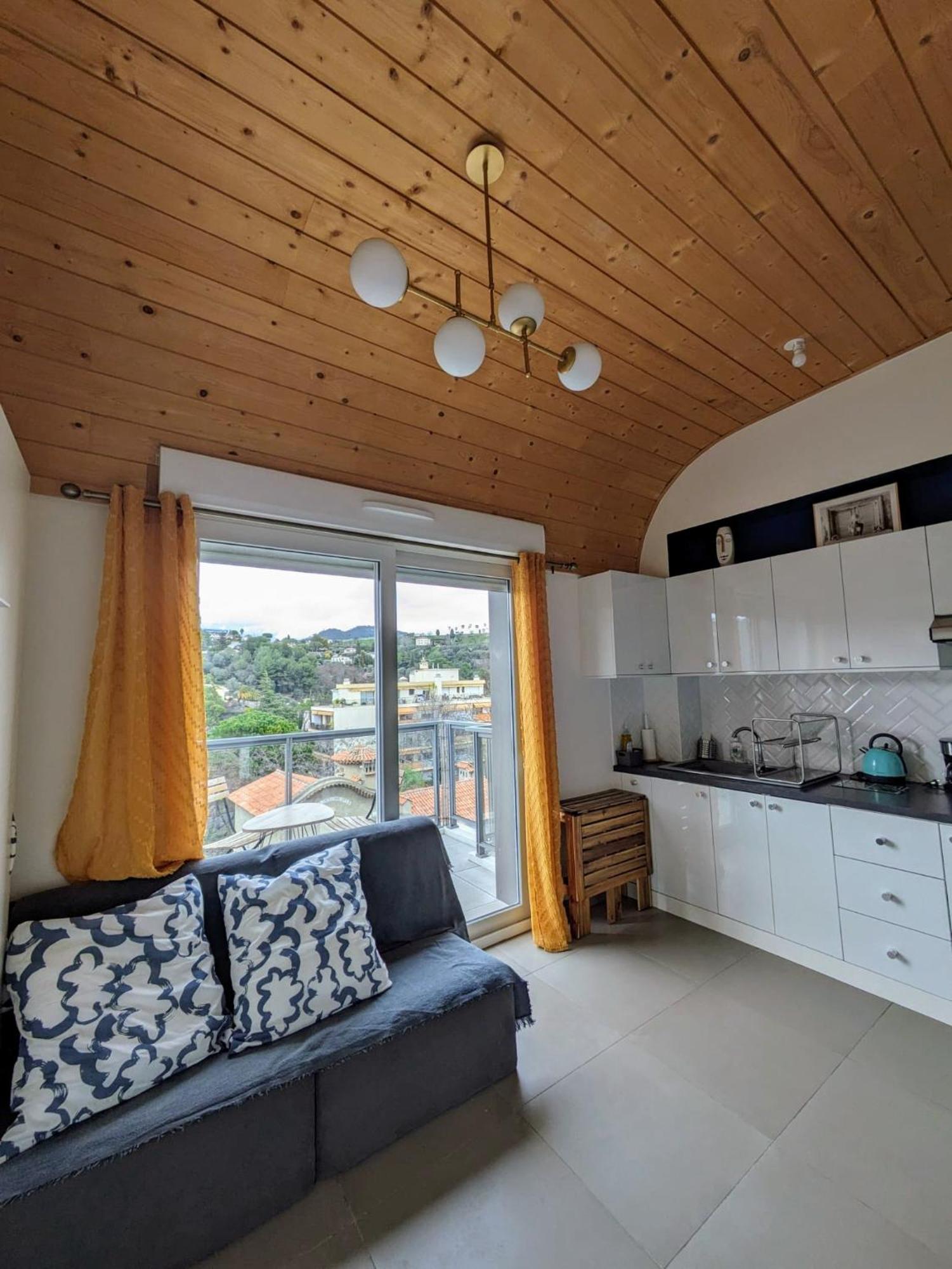 Studio Calme Avec Vue Degagee 尼斯 外观 照片